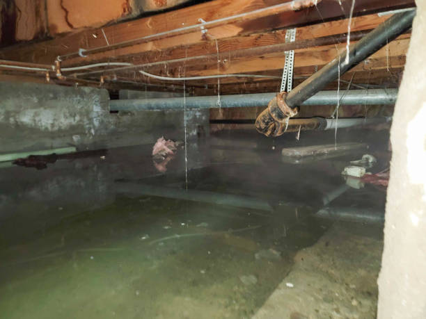 Best Emergency water damage restoration  in Wauchula, FL