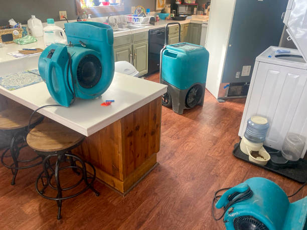 Best Water damage mitigation services  in Wauchula, FL