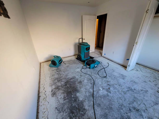 Best Water damage restoration insurance claims  in Wauchula, FL