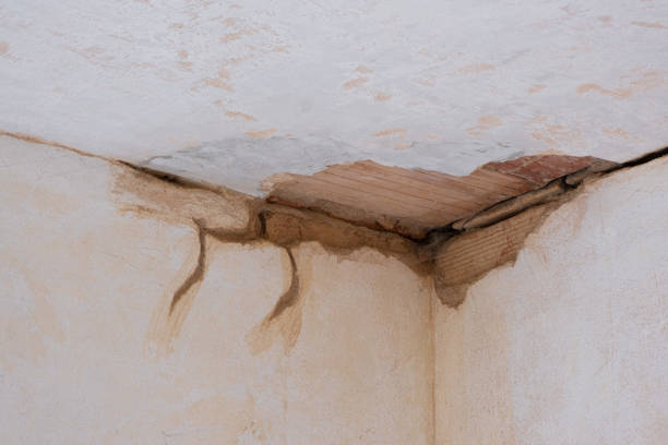 Best Ceiling water damage repair  in Wauchula, FL