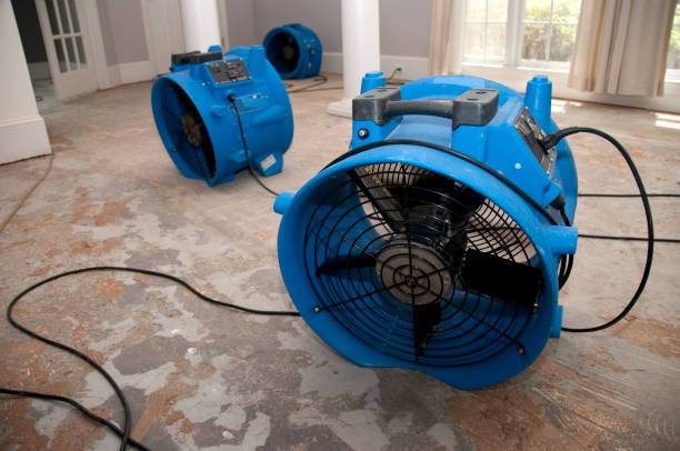 Best 24/7 water damage repair  in Wauchula, FL