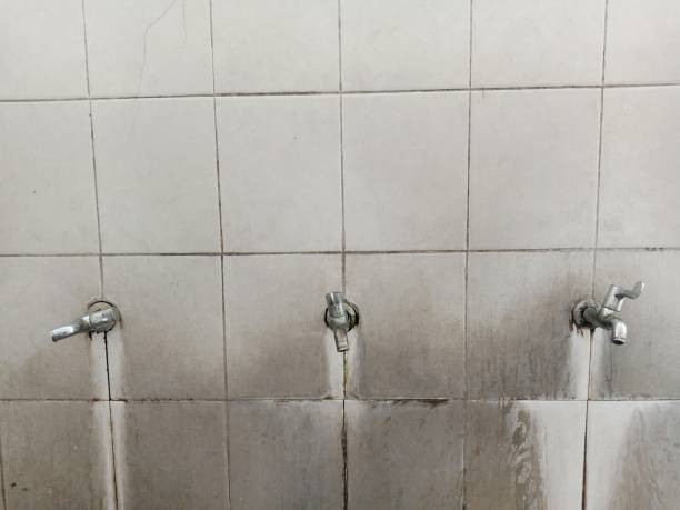 Best Water damage restoration near me  in Wauchula, FL