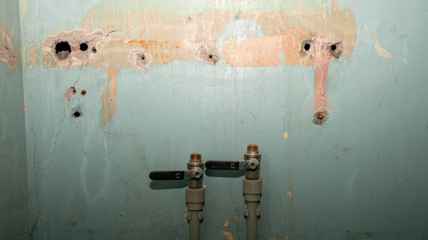 Best Sewage cleanup and water damage restoration  in Wauchula, FL