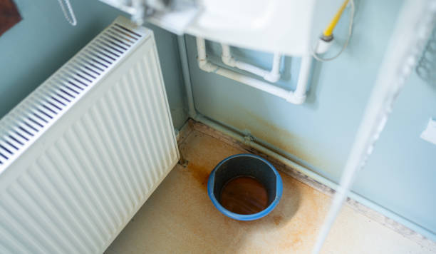 Best Local water damage restoration  in Wauchula, FL