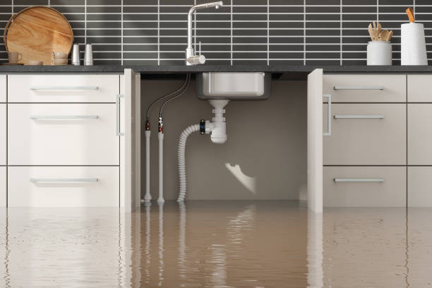 Best Residential water damage restoration  in Wauchula, FL