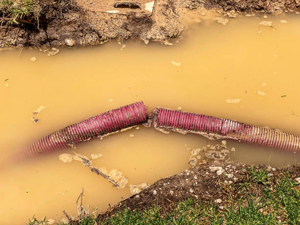 Best Water damage restoration experts  in Wauchula, FL