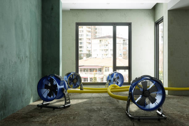 Best Fire Damage Restoration  in Wauchula, FL