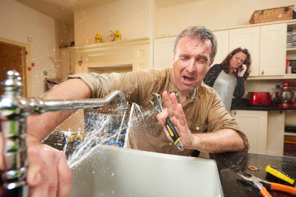 Best Flood damage cleanup  in Wauchula, FL
